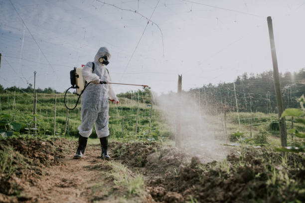 Best Mosquito Control Services  in Reston, VA