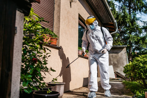 Best Affordable Pest Control Services  in Reston, VA