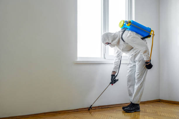 Best Bed Bug Extermination  in Reston, VA
